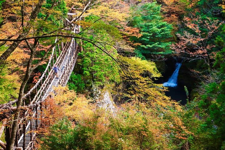 סיור חצי יום בעמק איאה הפרטי