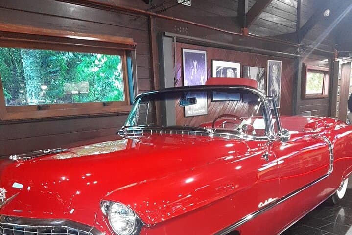 קבוצת תיירים חולמת על חוויה בלתי נשכחת