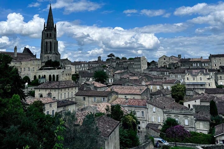 Saint-Émilion & Médoc : Full day with tastings and WSET guide