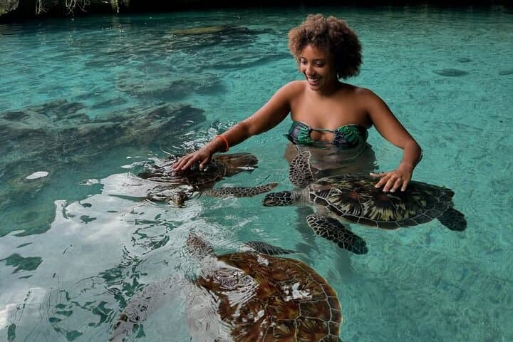 Turtles Sanctuary in Zanzibar