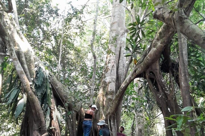 3/Days 2 Nights Amazon Rainforest Wildlife 270 usd