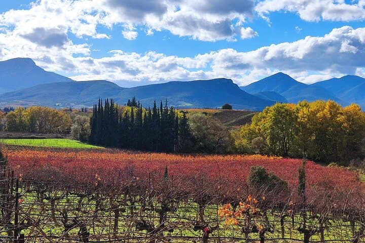 Nemea Premium One Day Wine Gathering