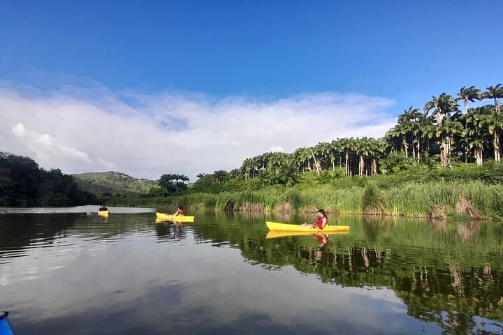 Rental Kayaking or Stand-up Paddle 2H