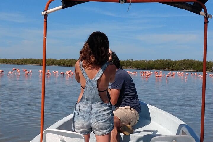 Flamingos Tour in Rio Lagartos Yucatan 2 hours