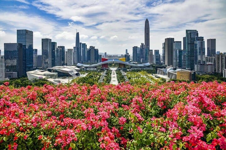 Shenzhen Private Day Tour with Car Service Tech+Culture+Shopping