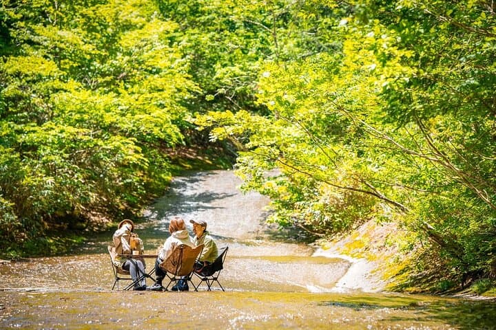 סיור טרקינג בנהר סוואנובורי