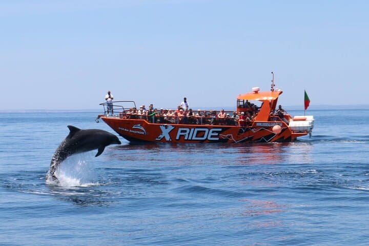 תצפית על דולפינים וספינת מערות.