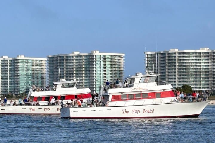 שיט דולפינים מהנה וחווית חיים במים אורנג' ביץ' אלבמה