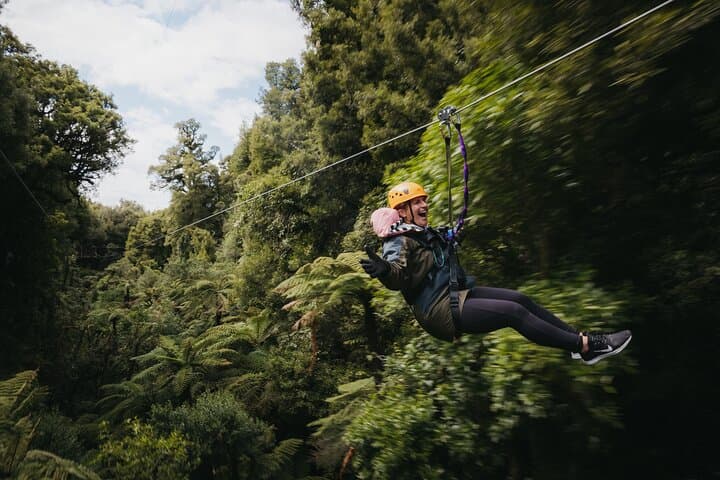 Rotorua Canopy Tours: 2.5Hour Native Forest Zipline Adventure