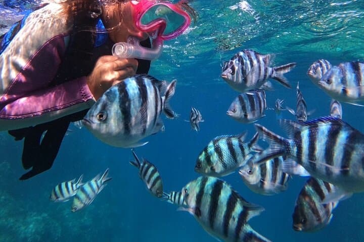 Blue Cave Private Snorkeling with Photoshoot