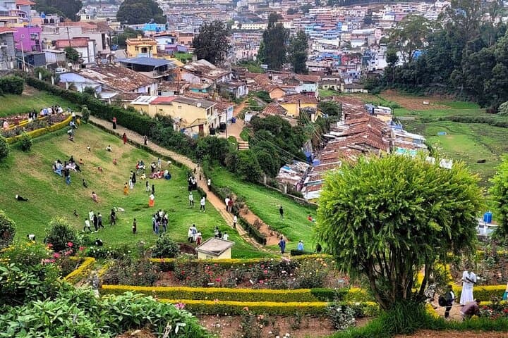 Coimbatore to Ooty Day Trip - Explore A Perfect Hill Station