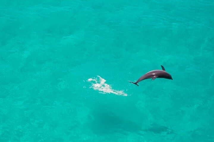 Zanzibar Full Day Private Tour with Sunset Beach & Seafood BBQ