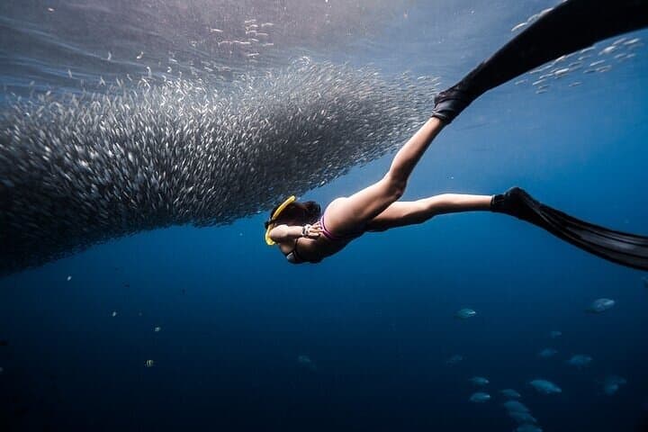 Discover Freediving One Amazing Day