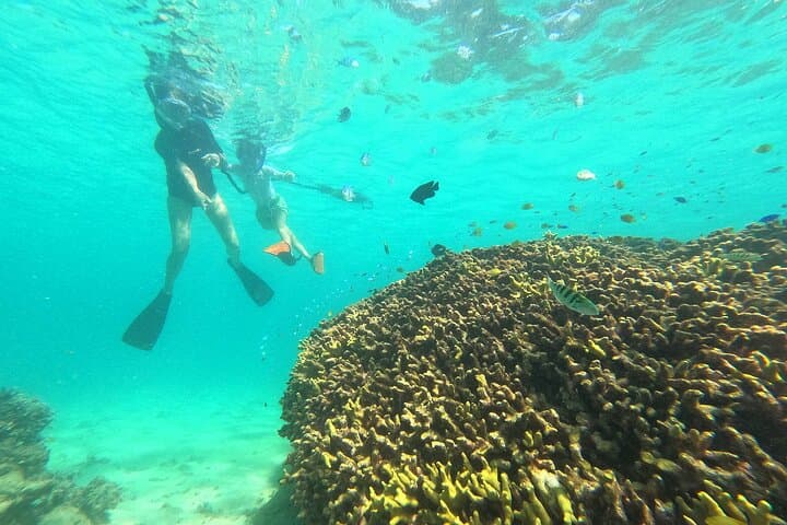 Snorkeling in Okinawa: Private booking