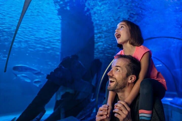 כרטיס כניסה לאקווריום SEA LIFE מינסוטה בקניון אמריקה