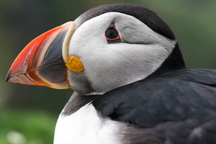 Safe Ride for Travellers to Edmonton