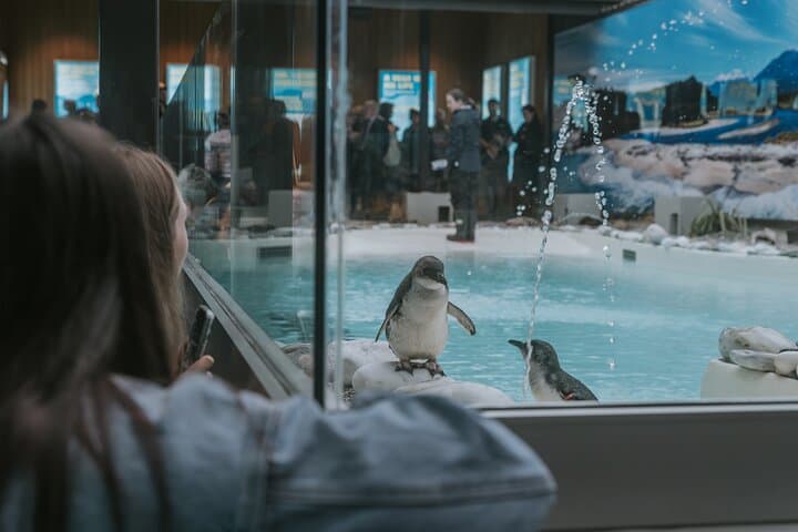 דילוג על התור: כרטיס מרכז חיות הבר של פרנץ יוסף עם אפשרות לכרטיס בקסטייג'