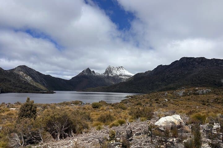 Cradle Mountain Half Day Park Explorer Tour with Lunch