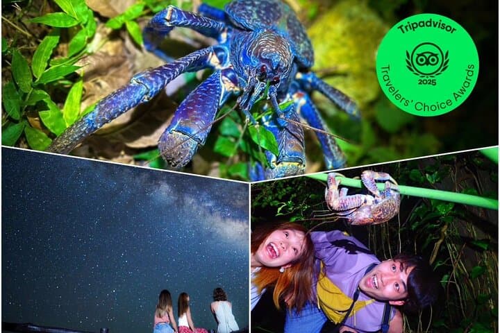 סיור לילי בשמיים מלאי כוכבים וג'ונגל באי איטושימה אוקינאווה