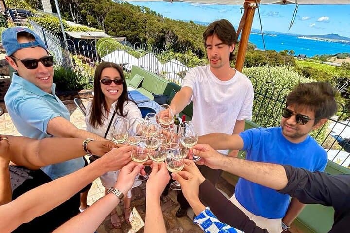 Waiheke Island Wine Tour with Scenic Vineyards & Tastings