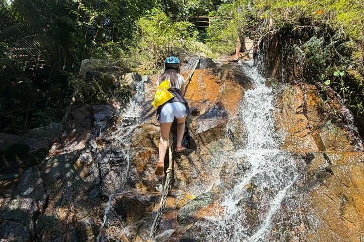 סיור פרטי של חצי יום לפארק היער הגשם הטרופי ינודה