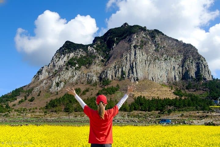 South-West Jeju Essentials: Hallasan & Signature Highlights